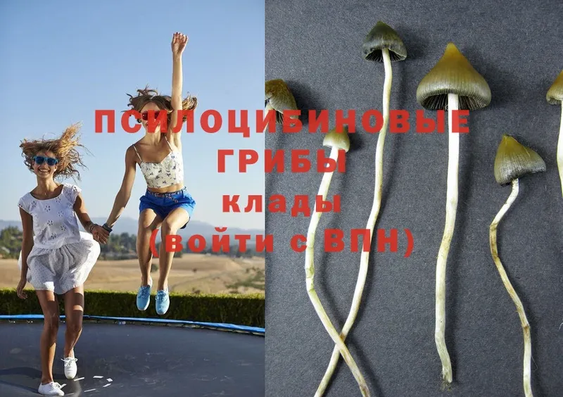 Галлюциногенные грибы MAGIC MUSHROOMS  Усть-Лабинск 